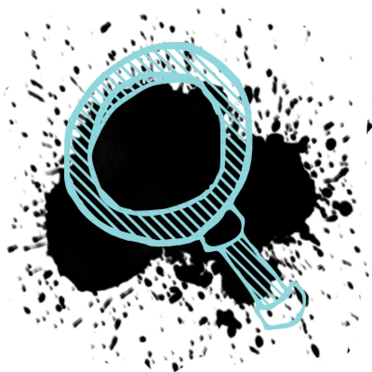 Multimarques & tout type de véhicule